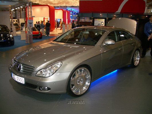 Alpine_13.JPG
