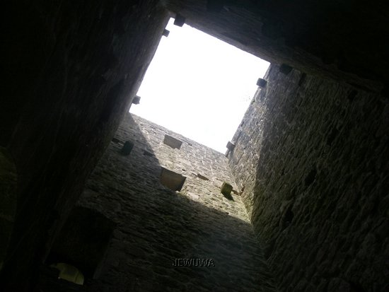 IMGP2976.JPG