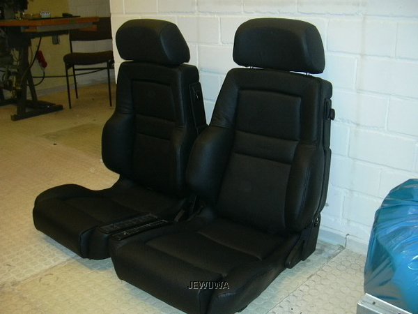 neuerecaros 006.jpg