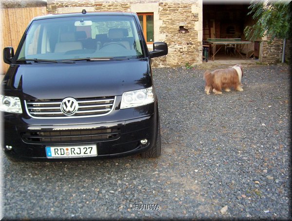 T5 neu Distanz vorn li+re.jpg